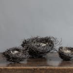 Joe Hogan, Small Birch Twig Nest
