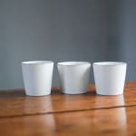 Joanna Constantinidis, Bowl