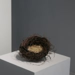 Joe Hogan, Small Birch Twig Nest
