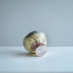 Richard Batterham, Cut sided bowl