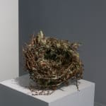 Joe Hogan, Outsize nest no.4