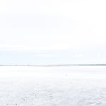 Pablo Marquez, 22 white on white I-B, 2017