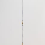 Hannah Valentine, Transitions, 2024