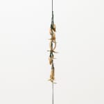 Hannah Valentine, Transitions, 2024