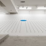 Elizabeth THOMSON, Pool of Memory , 2006 -2023