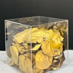 Francis Acea, Golden Years, 2008
