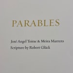Jose Toirac, Parables Book