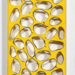 Carolina Sardi, Whites in a Long Box