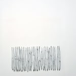 Carolina Sardi, Whites in a Long Box