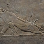 Dying Lioness in Ashurbanipal relief at the British Museum © Carole Raddato