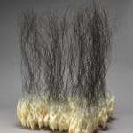 Susie MacMurray, Study for Entwine II, 2024