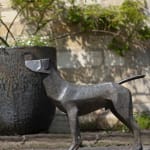 Terence Coventry, Cormorant I, 2011