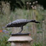 Charlotte Mayer, Peacock, 1989