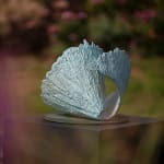 Charlotte Mayer, Sea Scarf , 2003