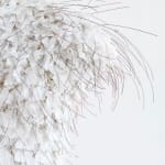 Susie MacMurray, Study for Entwine II, 2024