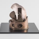 Jeff Lowe, Pavo (Brooch), 2016