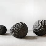 Peter Randall-Page RA, Espalier Study I, 2013