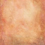 Patricia Qualls, Terroir Series, 2016