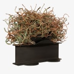 Nadim Karam, Confluence 7, 2025