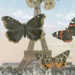 Peter Blake, Popov, 2019
