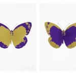 Damien Hirst, The pair - The Souls II - Oriental Gold/Imperial Purple/Blind Impression and The Souls II - Imperial Purple/Oriental...