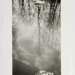 Dora Maar, Swans on a Basin (Cygnes sur un Bassin) c. 1925-1930, 2022