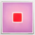 Brian Eno, 'Reflected' Galleria Nazionale dell'Umbria, 2020