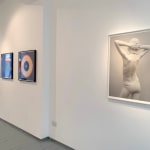 Don Brown, Yoko XXXI, 2015
