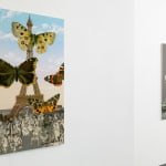 Peter Blake, Popov, 2019