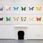 Brian Eno, 'Reflected' Galleria Nazionale dell'Umbria, 2020
