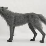 Kendra Haste MRSS, Lynx, 2025