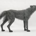 Kendra Haste MRSS, Lynx, 2025