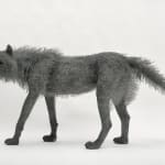 Kendra Haste MRSS, Lynx, 2025