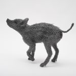 Kendra Haste MRSS, Lynx, 2025