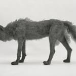 Kendra Haste MRSS, Lynx, 2025