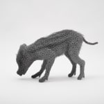 Kendra Haste MRSS, Lynx, 2025