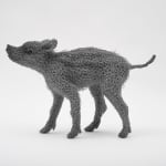 Kendra Haste MRSS, Lynx, 2025