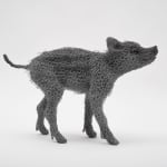 Kendra Haste MRSS, Lynx, 2025