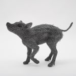 Kendra Haste MRSS, Lynx, 2025