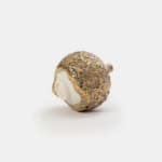 Yuta Segawa, Miniature Pot (BC02), 2023