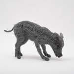 Kendra Haste MRSS, Lynx, 2025