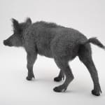 Kendra Haste MRSS, Lynx, 2025