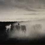Kurt Markus, Spanish Ranch, Tuscarora, NV, 1983/Printed later