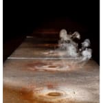 Teresa Margolles, Catafalco (Catafalque), 1997