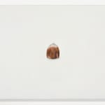 Christoph Hänsli, Erlegt Nr. 4, 2025