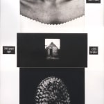 Lorna Simpson, Counting, 1991