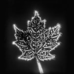 Marie-Jeanne Musiol, Miroir du cosmos (vidéo), 2006