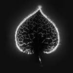 Marie-Jeanne Musiol, Miroir du cosmos (vidéo), 2006