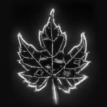 Marie-Jeanne Musiol, Corps de lumière no 401 (Feuille) / Bodies of Light no. 401 (Leaf), 2018