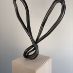 Roberto Pellegrinuzzi, Trajectoire ( lièvre 1)